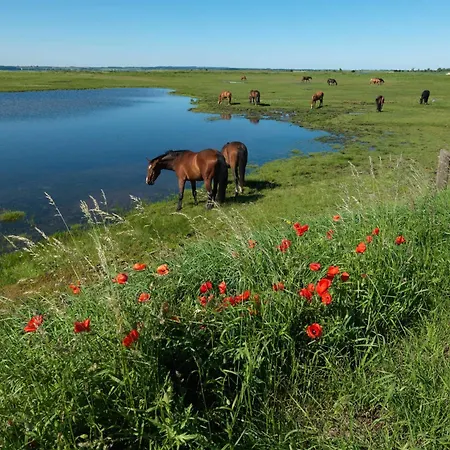 Ostsee Residenz Meeresblick Meeresblick * Insel Poel