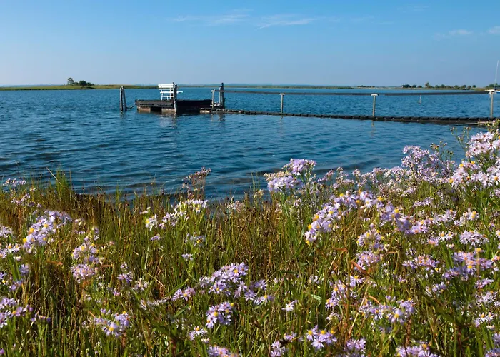 アパート Ostsee Residenz Meeresblick Meeresblick *
